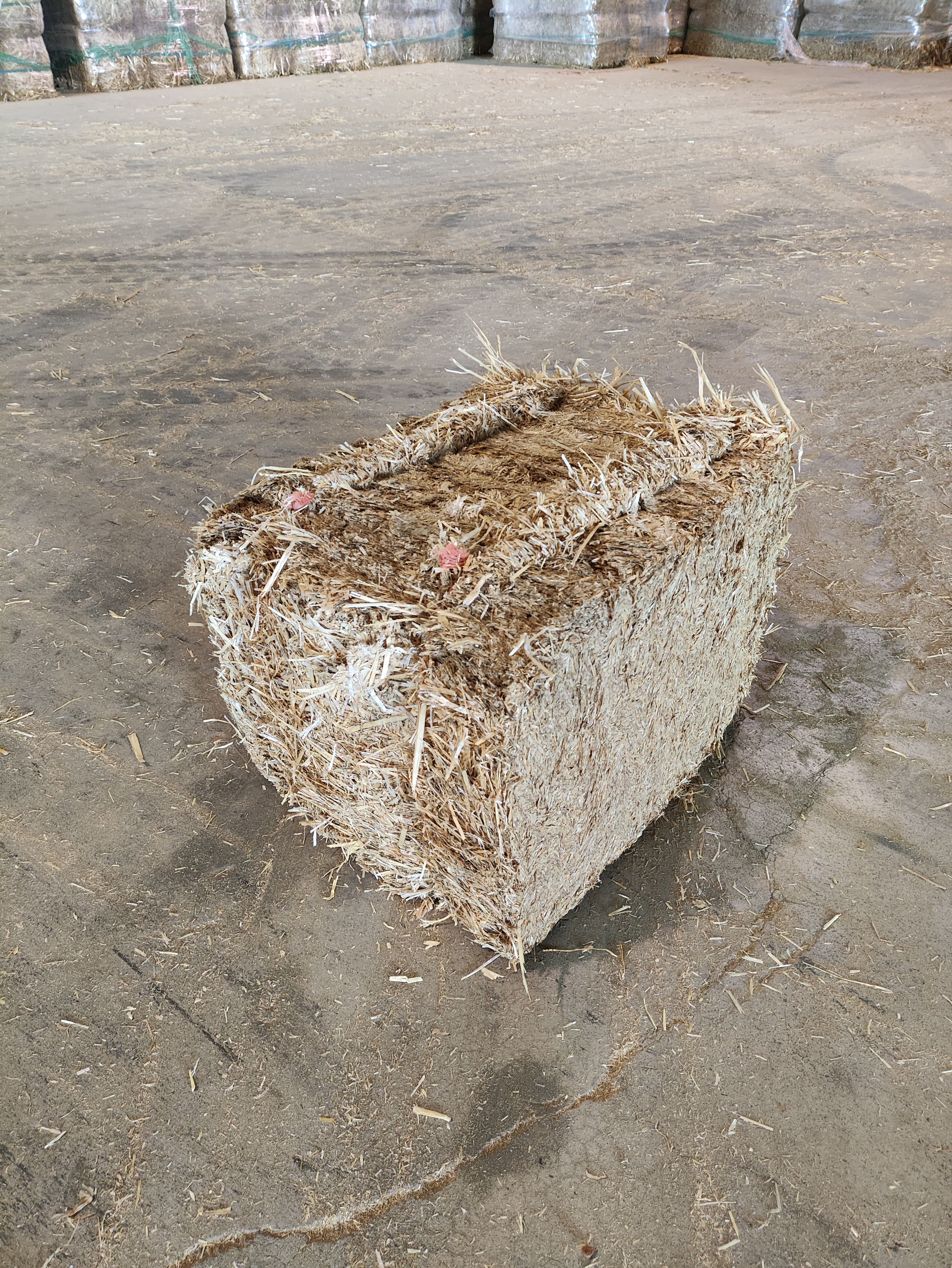 Vista general de una alpaca de paja paca 3/4 de fibra paquetes pequeños dorada y alta calidad